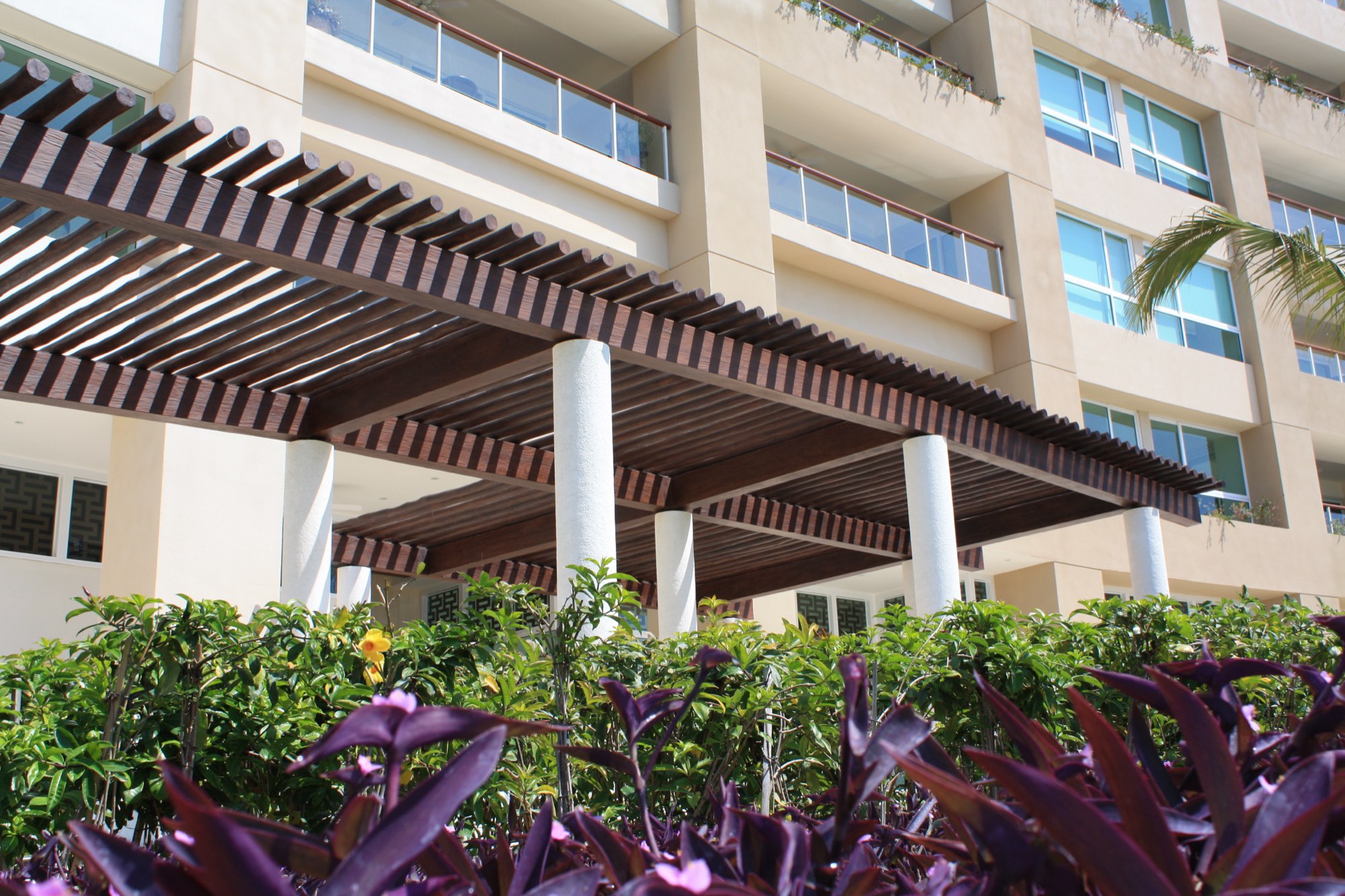 Del Canto Nuevo Vallarta — fotografía 2